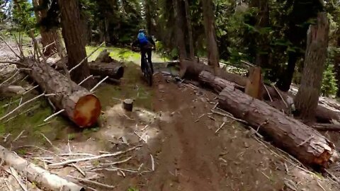 Alex tries to fornicate with a tree