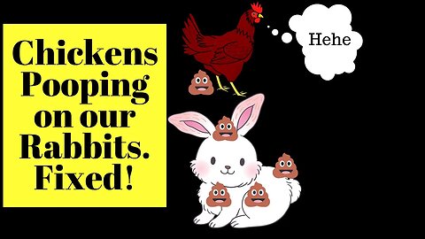 Chickens Pooping on Our Rabbits. Fixed!