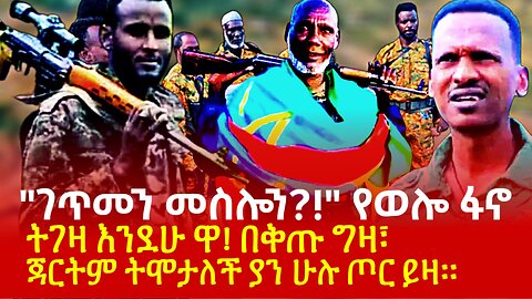 "ገጥመን መስሎን?!" የወሎ ፋኖ ለሽማግሌዎች የሰጡት መልስ! ትገዛ እንደሁ ዋ! በቅጡ ግዛ፣ ጃርትም ትሞታለች ያን ሁሉ ጦር ይዛ!