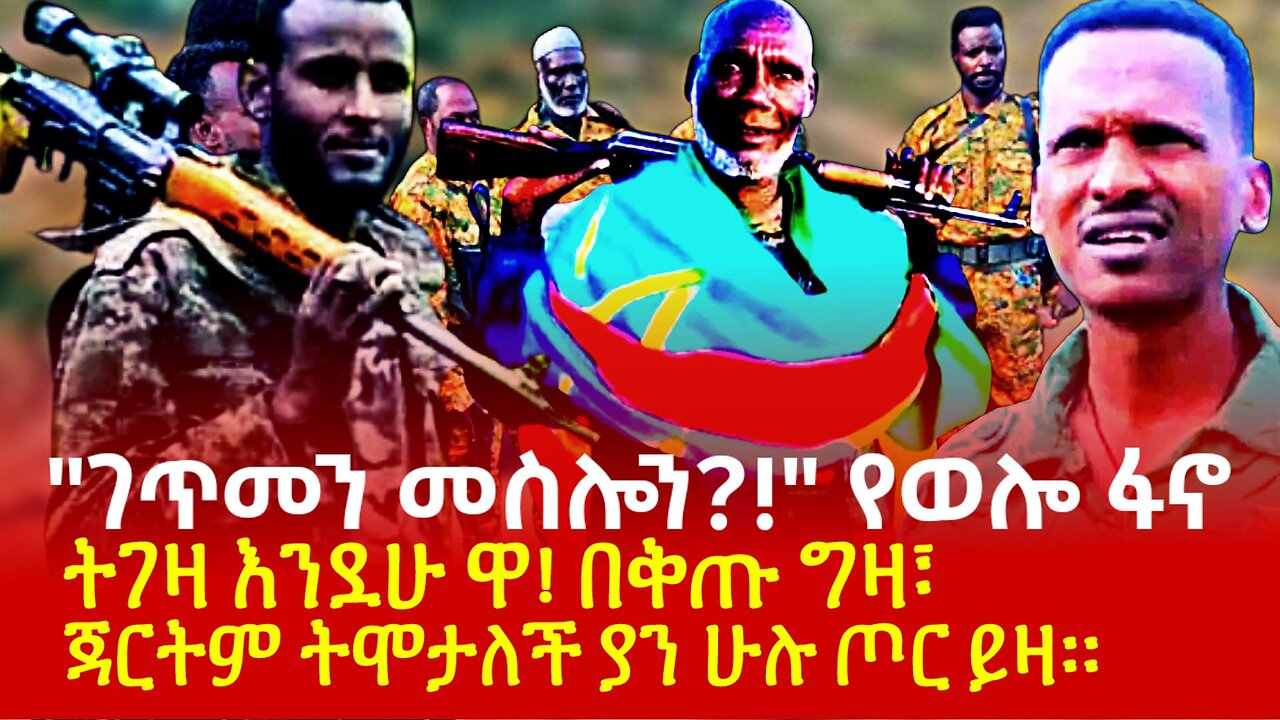 "ገጥመን መስሎን?!" የወሎ ፋኖ ለሽማግሌዎች የሰጡት መልስ! ትገዛ እንደሁ ዋ! በቅጡ ግዛ፣ ጃርትም ትሞታለች ያን ሁሉ ጦር ይዛ!