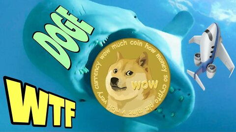 The HUGE Dogecoin Whale IS GOING WILD NOW ⚠️