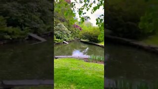 A pond in Halifax Public Gardens