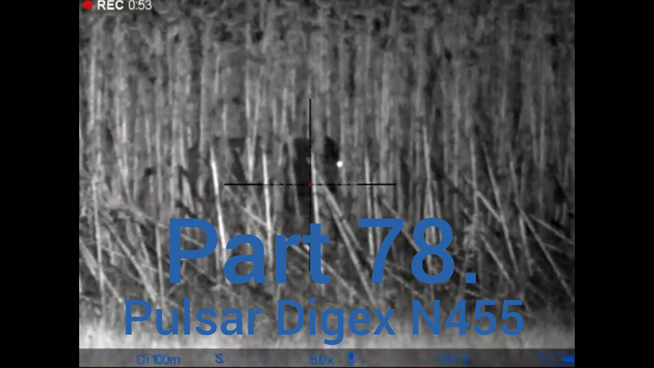 Part 78. Wildboar hunting with Pulsar Digex n455