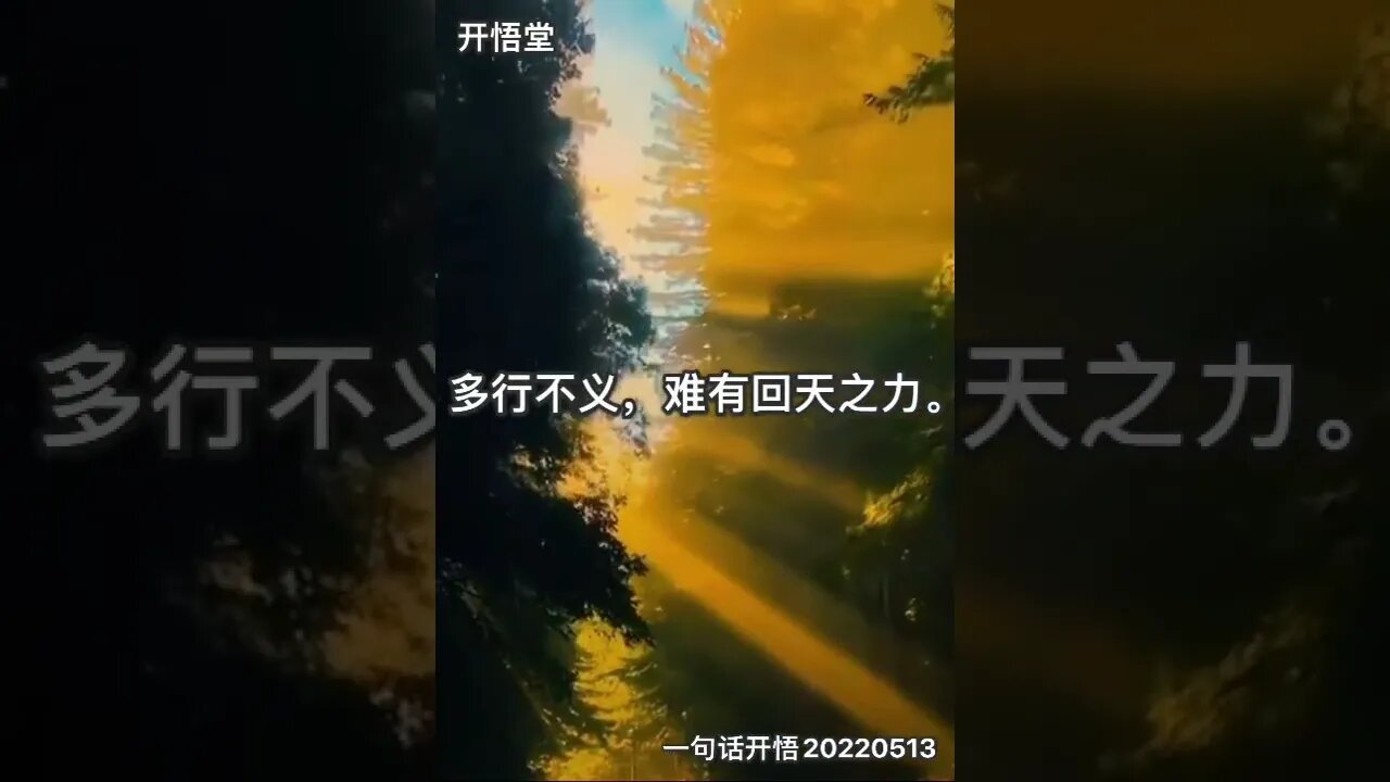 一句话开悟20220513