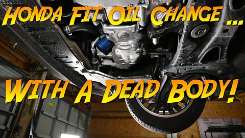 Honda Fit Oil Change ... And I Found A Dead Body!