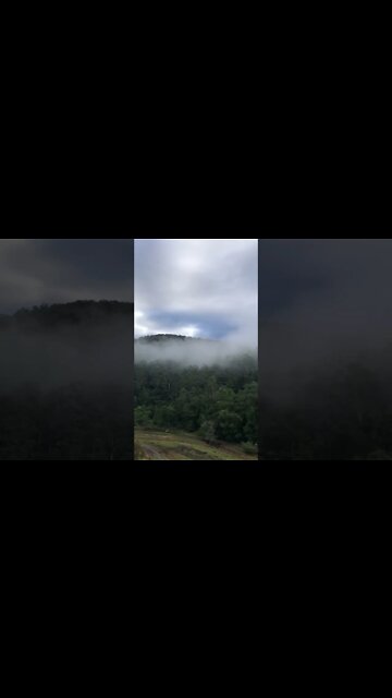 Picturesque misty morning down under