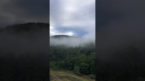 Picturesque misty morning down under