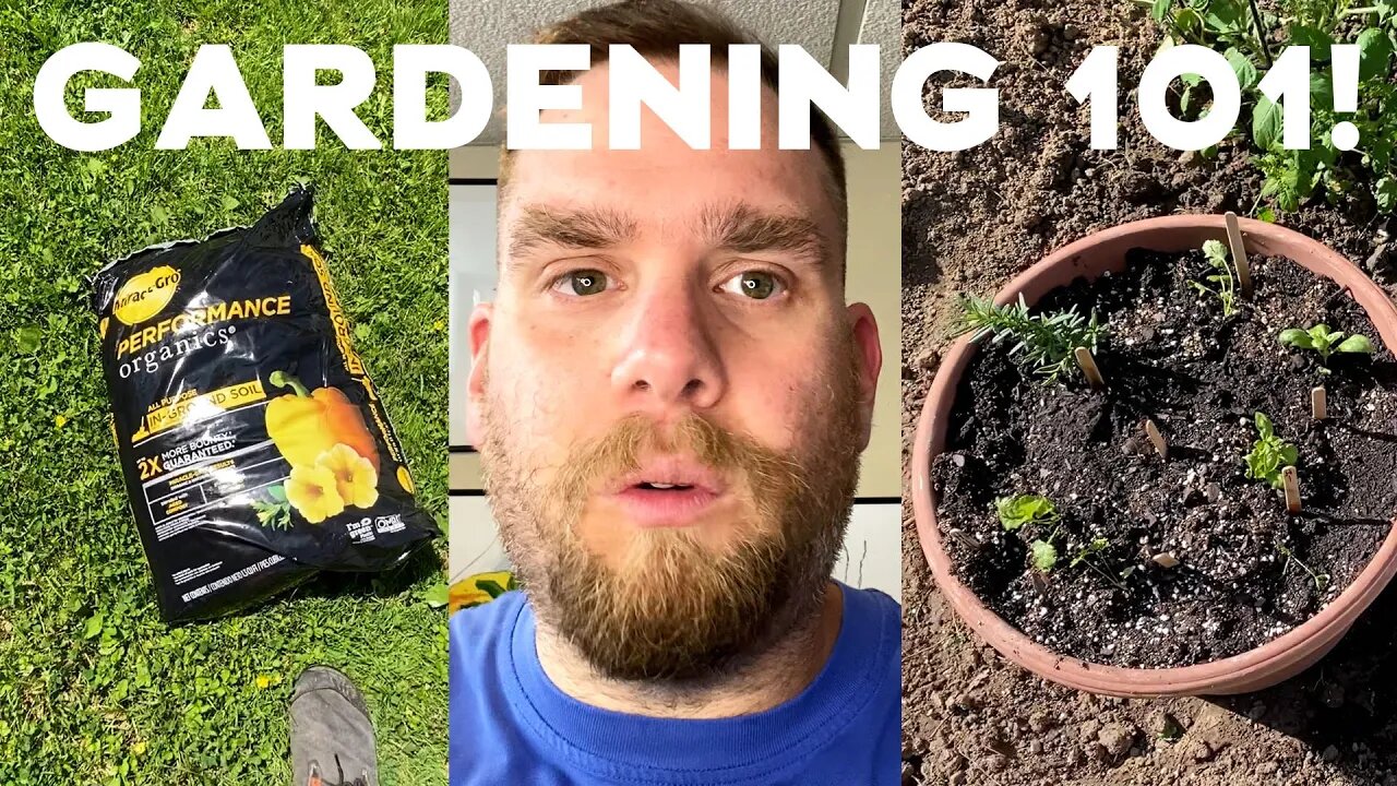 Organic Gardening101 | How to get the soil started | Companion Gardening