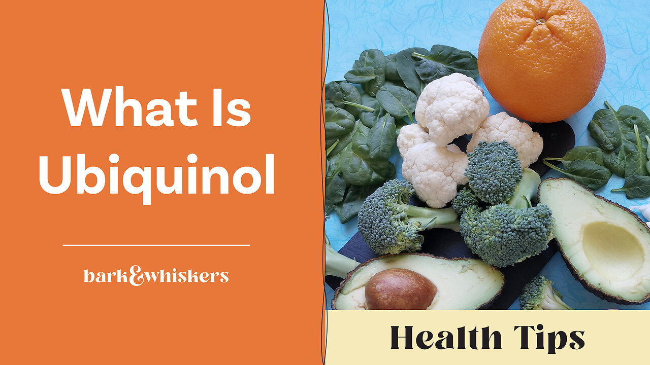 Dr. Becker Discusses Ubiquinol