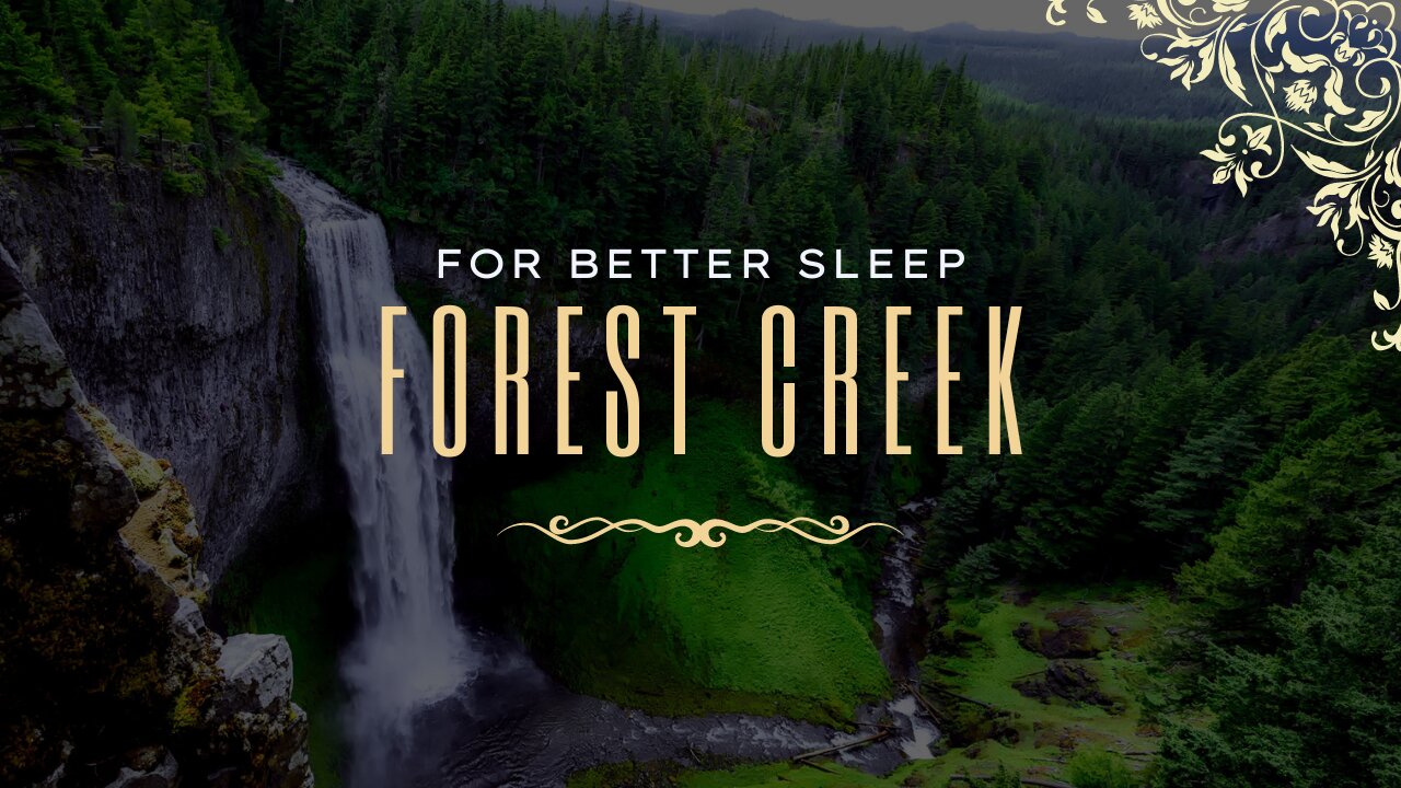 Forest Creek - Sounds for Sleep and Study