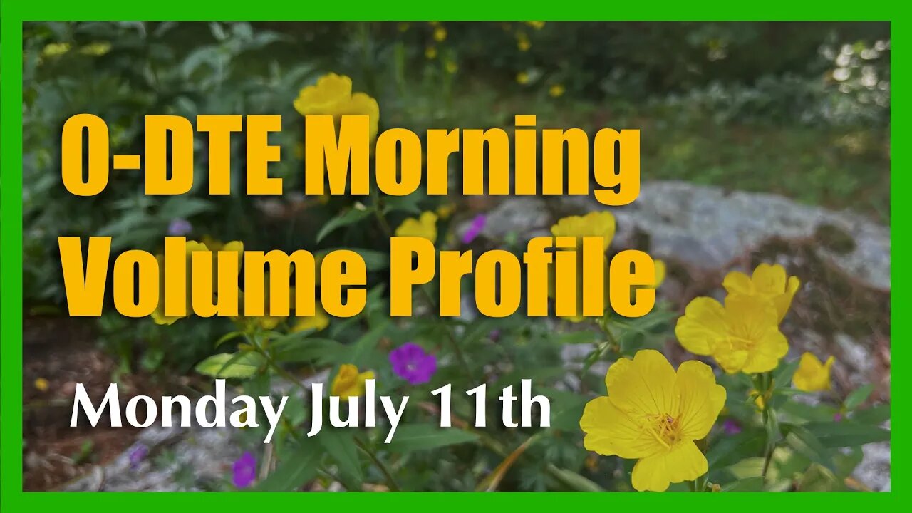 0-DTE Morning Market Volume Profile Analysis - Monday July 11th