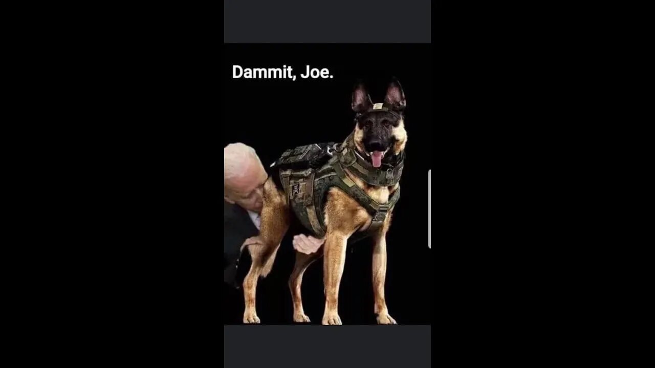 A vote for Biden is a vote for pedophilia Part 2