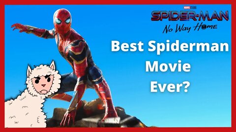 The Definitive Spider-Man: No Way Home Review! - Tyler Watches