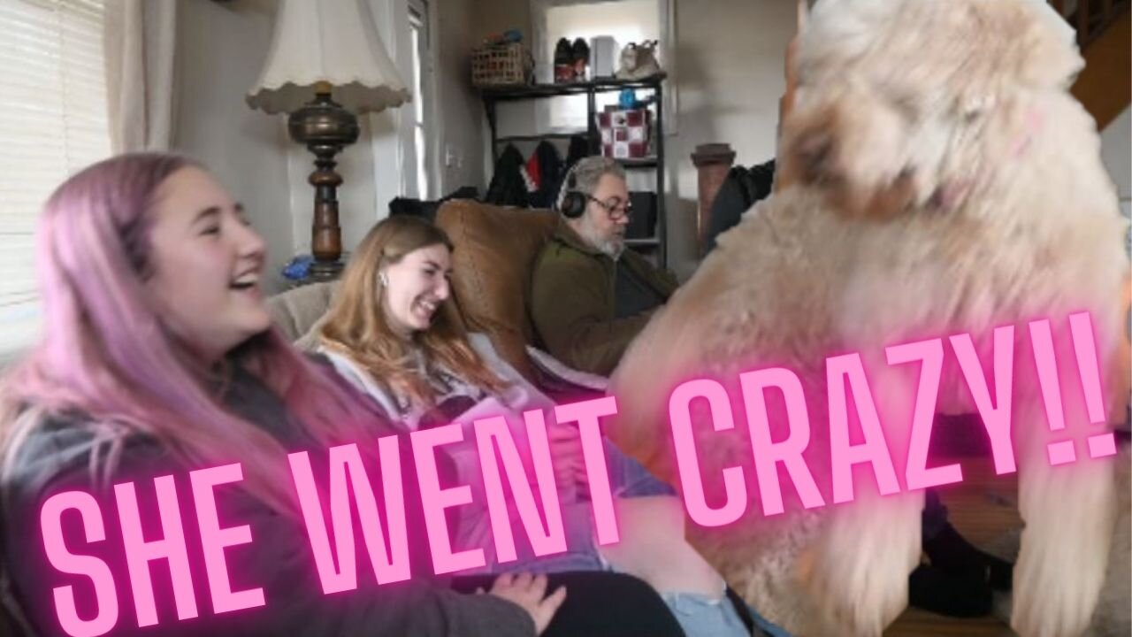 Our Dog Went Crazy!
