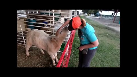 Smith County Kansas Free Fair Part 3. Episode 7