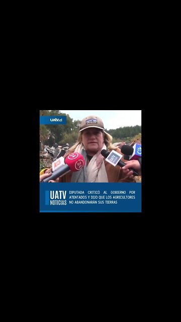 Diputada Naveillán: "El Gobierno es cómplice, esto no tiene nombre"