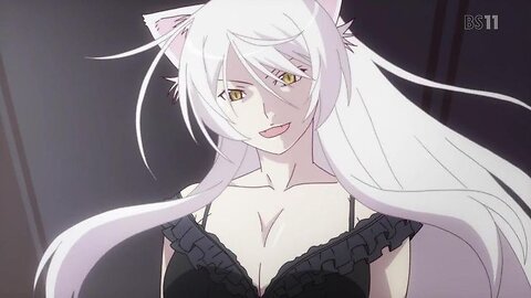 MONOGATARI SHE WOLF AMV