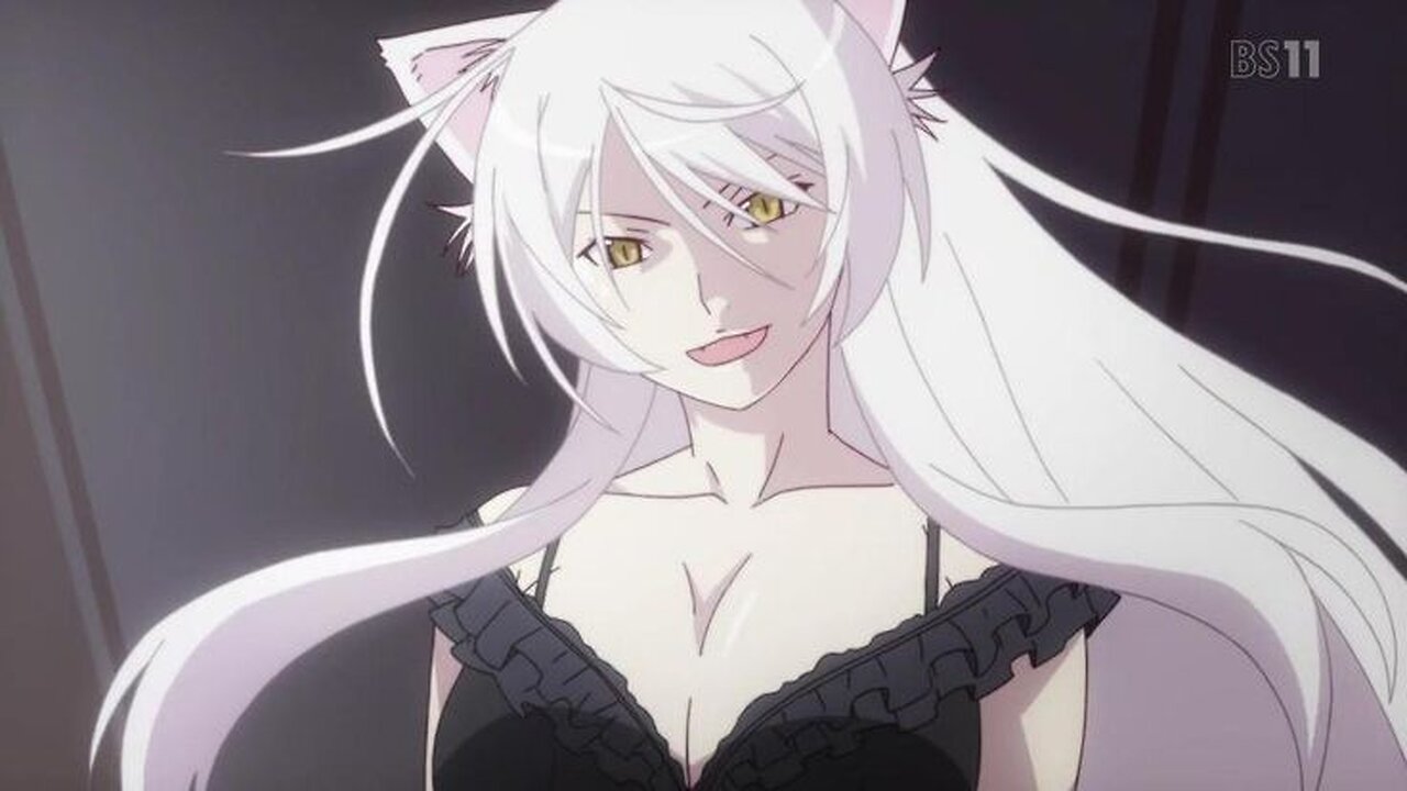 MONOGATARI SHE WOLF AMV