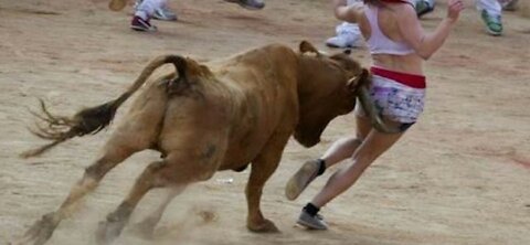 Best funny video Most awesome Bullfighting festival funny crazy bull fails.