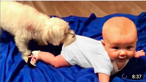 Adorable Babies playing with Dogs Compilation _ Funny Baby And Dog Video