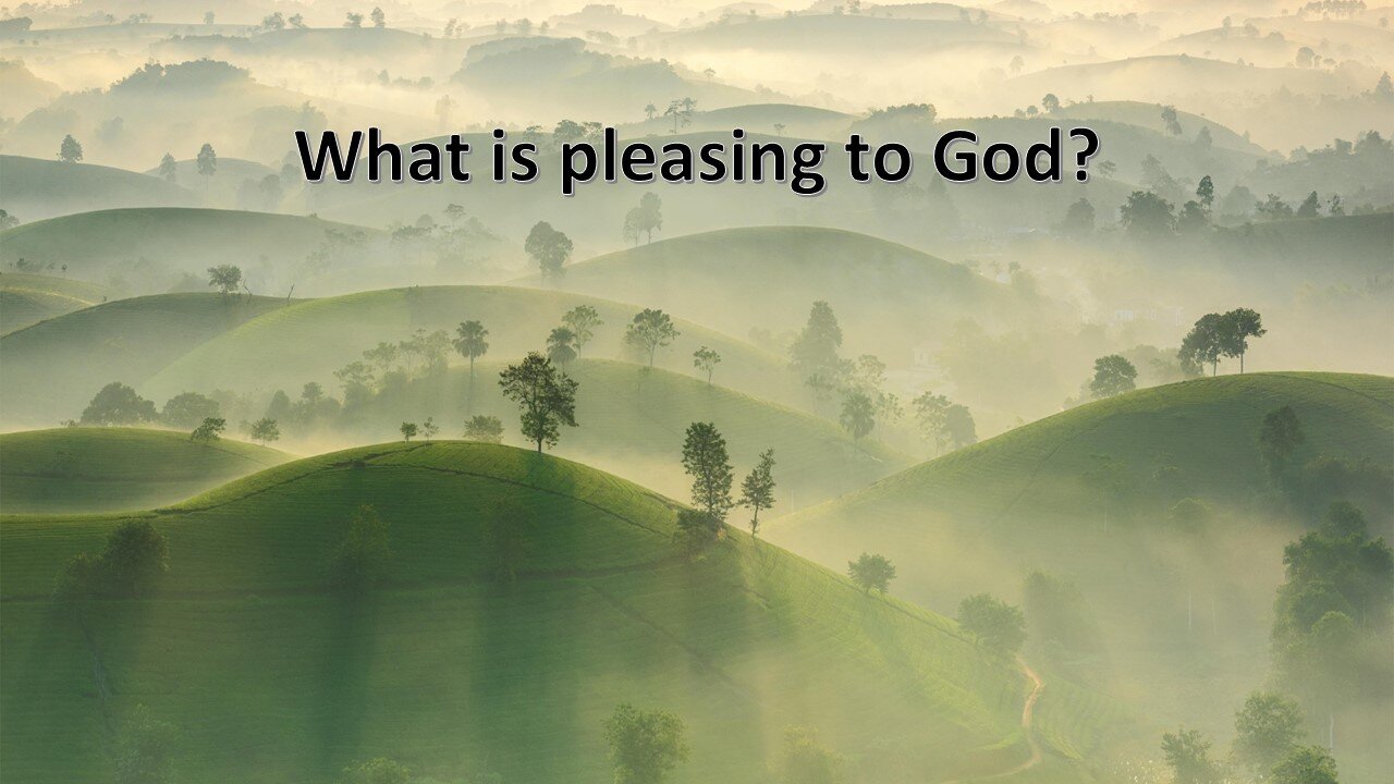 Sermon Only | What is pleasing to God? | August 11, 2024