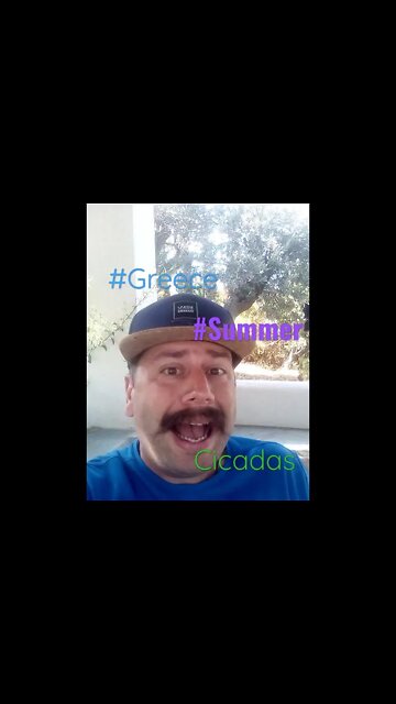 Just Pipes Something ...Cicadas