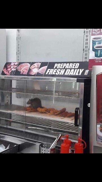 The UN’s part in spreading the Gender Ideology