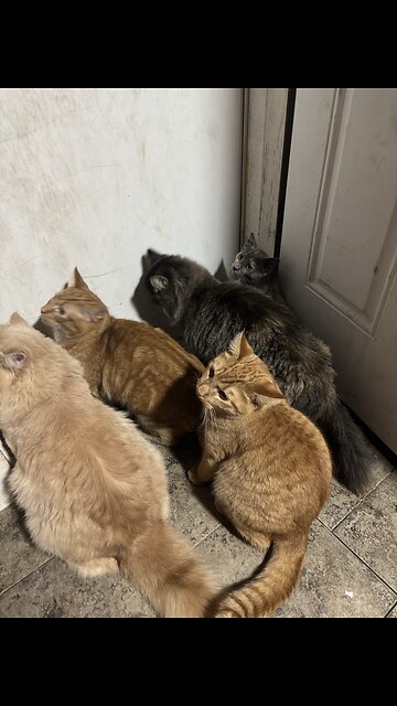 I’ll love you always and forever!