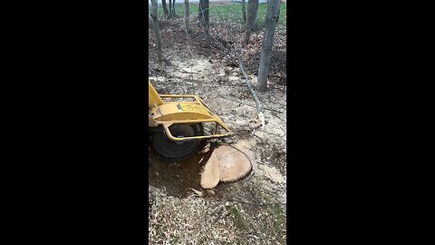 Vermeer SC372 makes quick work of Ash stump