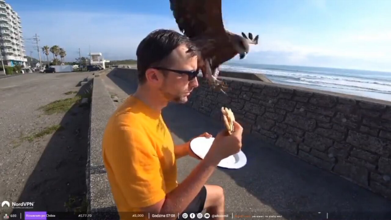 Streamer got His Sandwich Stolen by a Bird while Live