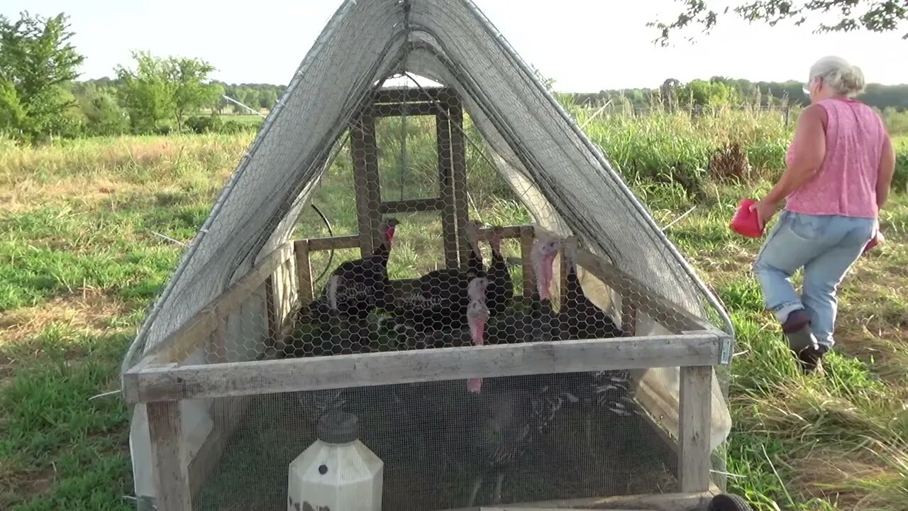 Come Along With Me as I Do Morning Chores