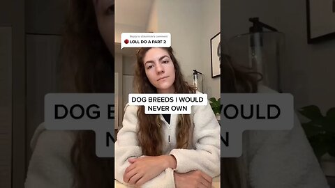 Dogs, Dogslover, Dogproducts, Dogsowners, 62