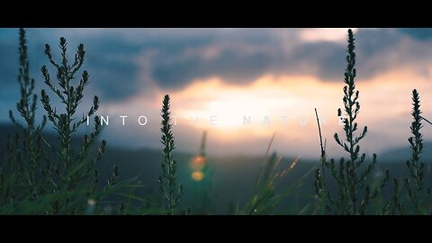 Into The Nature Cinematic Travel Video Sony a6300