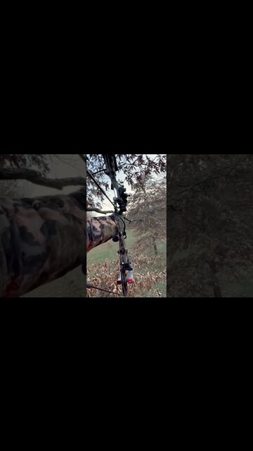 Tagged Out In Missouri! (“Floppy” Is Down!)