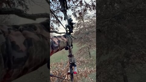 Tagged Out In Missouri! (“Floppy” Is Down!)