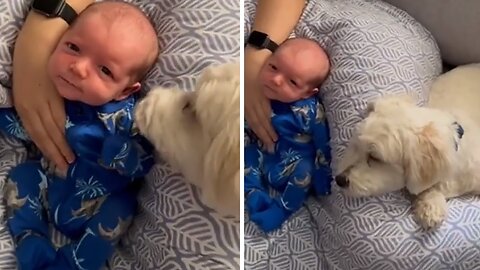 Adorable baby smiles after she sneezes