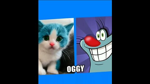 oggy best video clip very fun and happy time