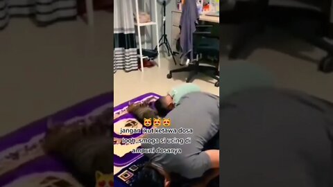Cat play with child #shorts #cat #reels #funny #viral #video #videos