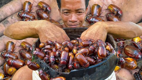 delicious beetles to eat