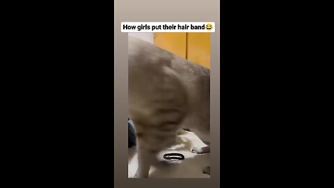 🤣🤣🤣🤣🤣🤣