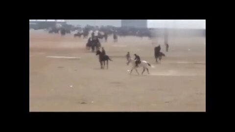 Ultimate Skills 👏👏👏