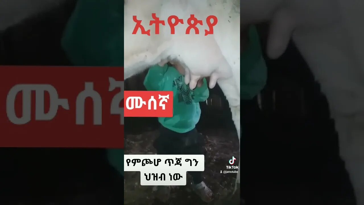 ኢትዮጵያ + ሙስና + ህዝብ = ___?? Ethiopia + corruption + people= ___??