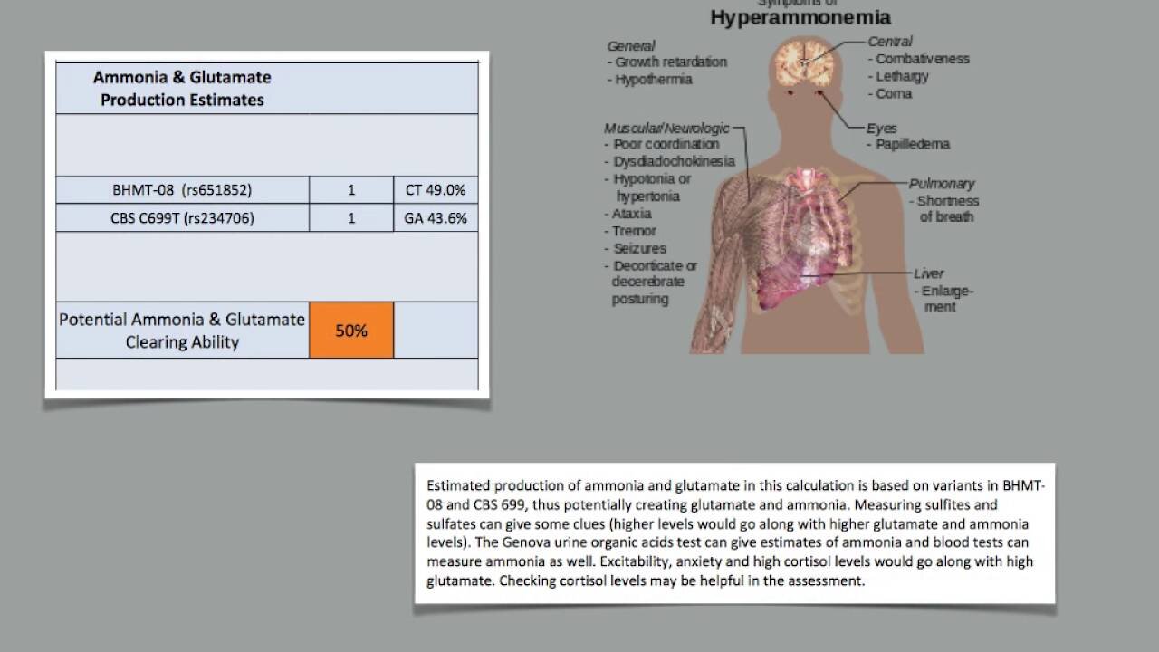 Genetics - Transsulfuration | Dr. Kevin Conners - Conners Clinic