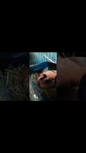 Good morning Forest 14th September