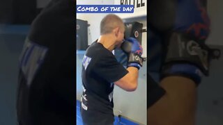 Boxing Combo on the Wall Bag