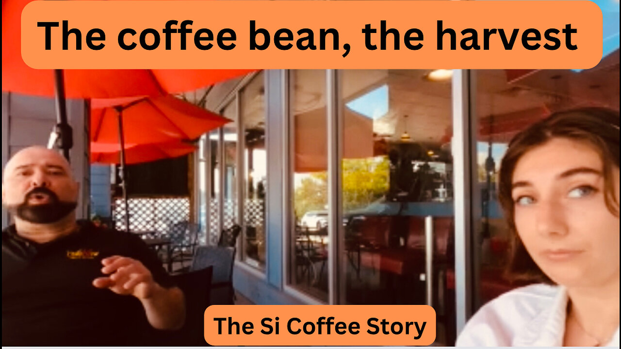 The coffee bean, the harvest, the Si Coffee Story from Nicaragua to Canada