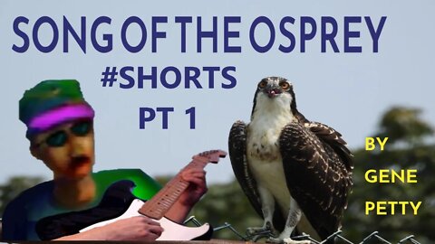 Song Of The Osprey Pt 1 by Gene Petty #Shorts