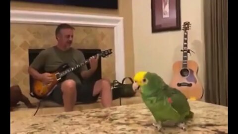 Parrot Sing Along