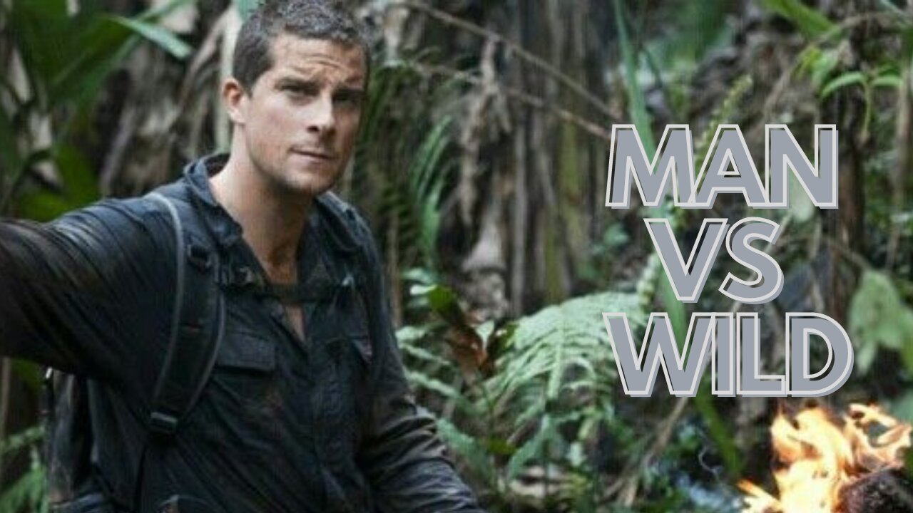 Bear Grylls in Borneo Jungle | Man vs Wild | Discovery.