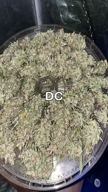 DC Grow Cartel